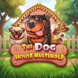 The Dog House Multihold gra w Fontan Casino dla graczy z Polski The Dog House Multihold gra w Fontan Casino dla graczy z Polski